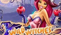 Ігровий автомат Wild Witches